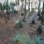 Deborah Stratton - @dstratton447 - Instagram