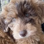 Deborah Stratton - @rxdebi1 - Instagram