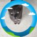 Deborah Stratton - Facebook
