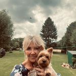 Deborah Stringer Quinn - @debsbonzo - Instagram