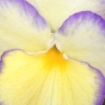 Deb Lynch - @deborahstruble - Instagram