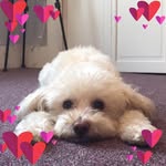Deborah Suzanne - @debbiesue2323 - Instagram