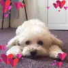 deborahsuzanne182 - @deborahsuzanne182 - TikTok