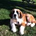 Debbie Swank - Facebook