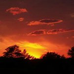 Deborah Kazee Swank-Matthews - @deborah.swank - Instagram