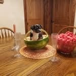 Deborah Sweitzer - @sweitzer.deborah - Instagram
