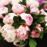 Deborah Swift - @fellsidecottage - Instagram