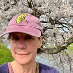 Deborah Swift Carter - @deborahswiftcarter - Instagram