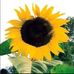 Deborah Swint - Facebook