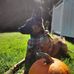 Debbie Switzer Murphy - Facebook