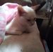 Deborah Tasker - Facebook