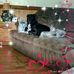 Deborah Teel - Facebook