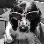 Deborah Thomson - @debbiboo76 - Instagram