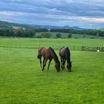 Deborah Thomson - @debsthomson761 - Instagram