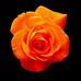 Deborah Timmons Stone Patterson - Facebook