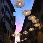 Deborah Tobin - @deborahtobin - Instagram