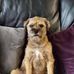 Debra Towers - Facebook