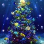 Deborah Tracy - Facebook