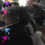 Deborah Tracy Lynn Stanford - @deborah_stanford48 - Instagram