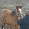 Deb Traynor - @deb.traynor - TikTok