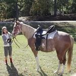 DeanDeborah Treadwell - @deandeborahtreadwell - Instagram