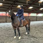 Deborah Treadwell - @debtreadwell - Instagram