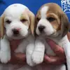 Deborah Tripp - @deborah.tripp - TikTok