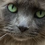 Deborah Barlet Trout - @dltrout - Instagram