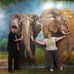 Debra Tyndall - Facebook
