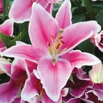 Deborah Tyree - Facebook