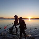 Deborah Reilly Tyrrell - @tyrrell6742 - Instagram