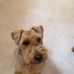 Deborah Boyd Uhl - Facebook