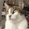 Deborah D. Allen-Uhl - @deborahdallenuhl0 - TikTok