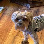 Deborah Terry Uhl - @daulh3 - Instagram