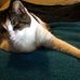 Deborah Uhlow - Facebook
