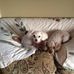 Deborah Upton - Facebook