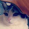 deborahvaillant76 - @deborahvaillant76 - TikTok