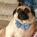 Debbie Sokoloski Valis - Facebook