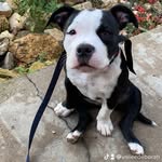 Deborah Vallee - @vallee4940 - Instagram