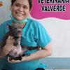 Deborah Valverde - @deborahvalverde8 - TikTok