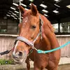 Deborah van den Berg - @deborah.van.den.b1 - TikTok