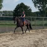Deborah van den Berge - @deborahvandenberge - Instagram