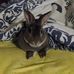 Debbie Vandergriff - Facebook