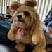 Deborah Ferris Vandermark - Facebook