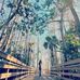 Deborah Aranda Varas - Facebook