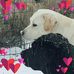 Deborah Vecchioni - Facebook