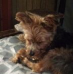 Deborah Veillette - Facebook