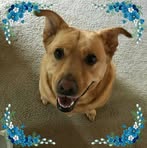 Deborah Venner - Facebook