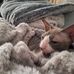 Debra Venter - Facebook