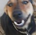 Deborah Venturini - Facebook